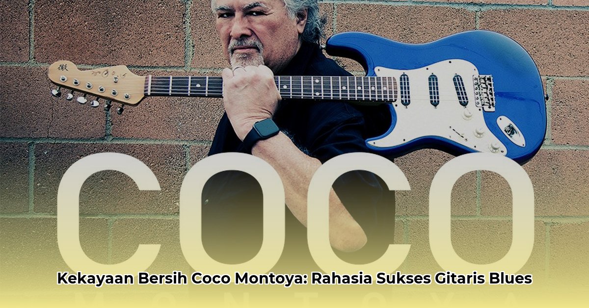 coco montoya net worth